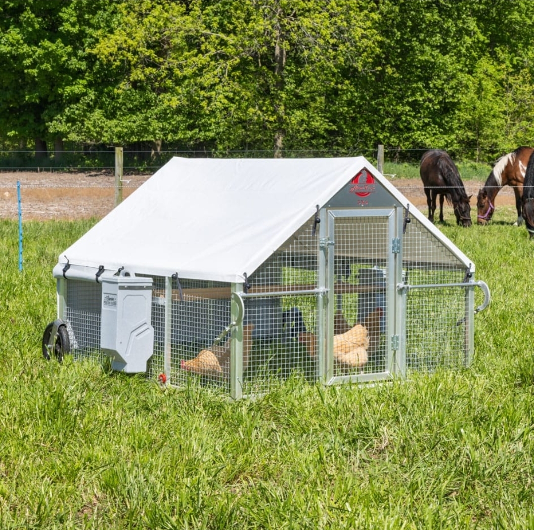 chicken coup