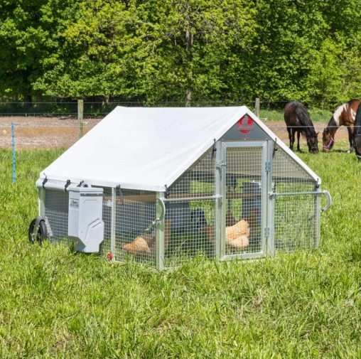 chicken coup